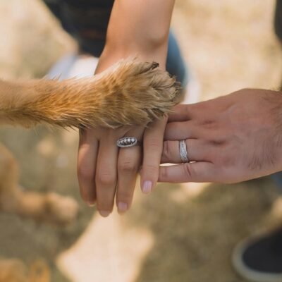 A close-up of hands and a dog's paw displaying unity and love outdoors.